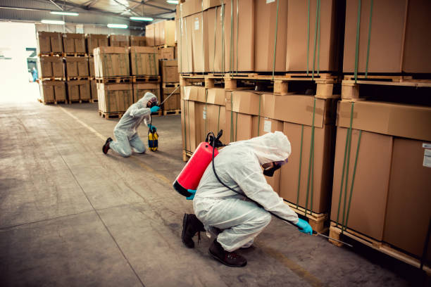 Best Pest Inspection Near Me  in Marillo, CA