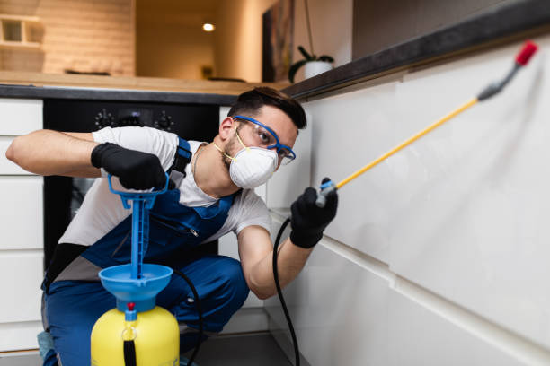 Best Flea Control Services  in Marillo, CA