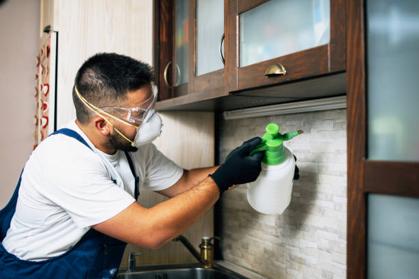 Best Termite Control Services  in Marillo, CA