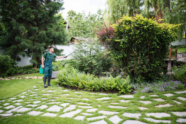 Best Pest Prevention Services  in Marillo, CA