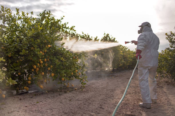 Bird Control in Camarillo, CA